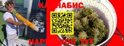 крисы Славянск-на-Кубани