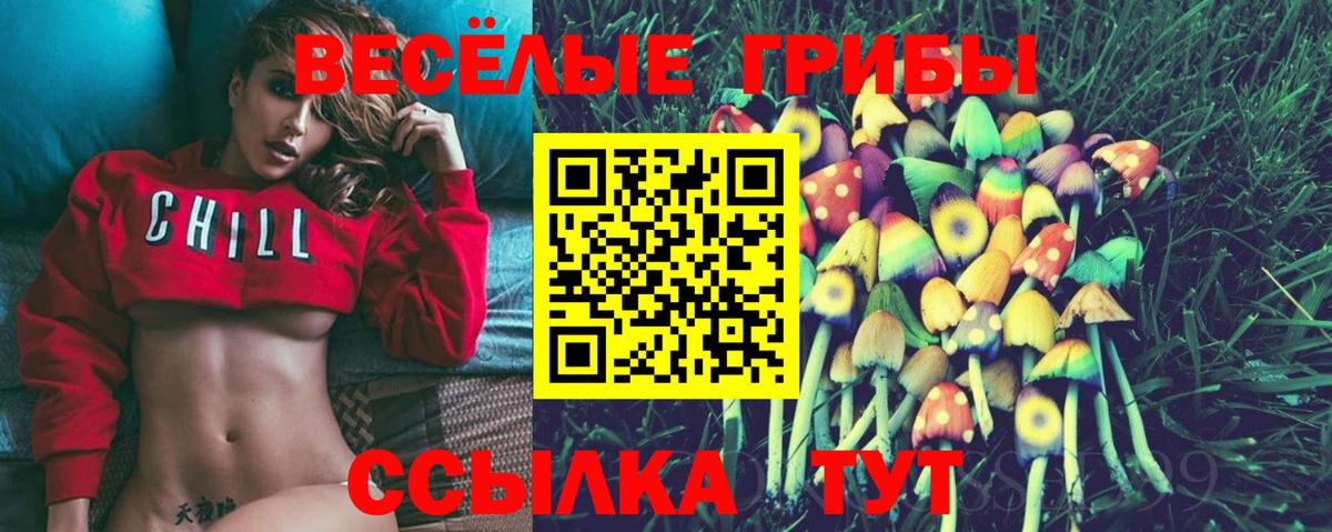 Алатырь  Псилоцибиновые грибы Cubensis  Галлюциногенные грибы мицелий  Вход с VPN 